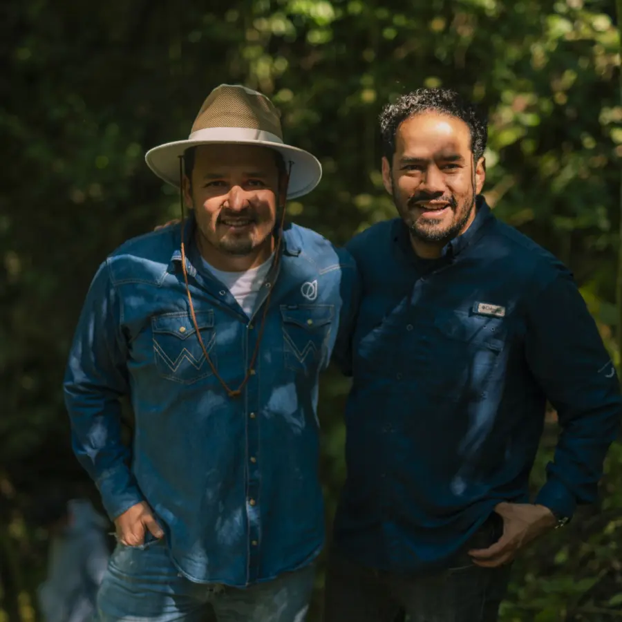 Café de spécialité |Café Cafeología, La Finca Marsellesa Honey Process | Vente en ligne