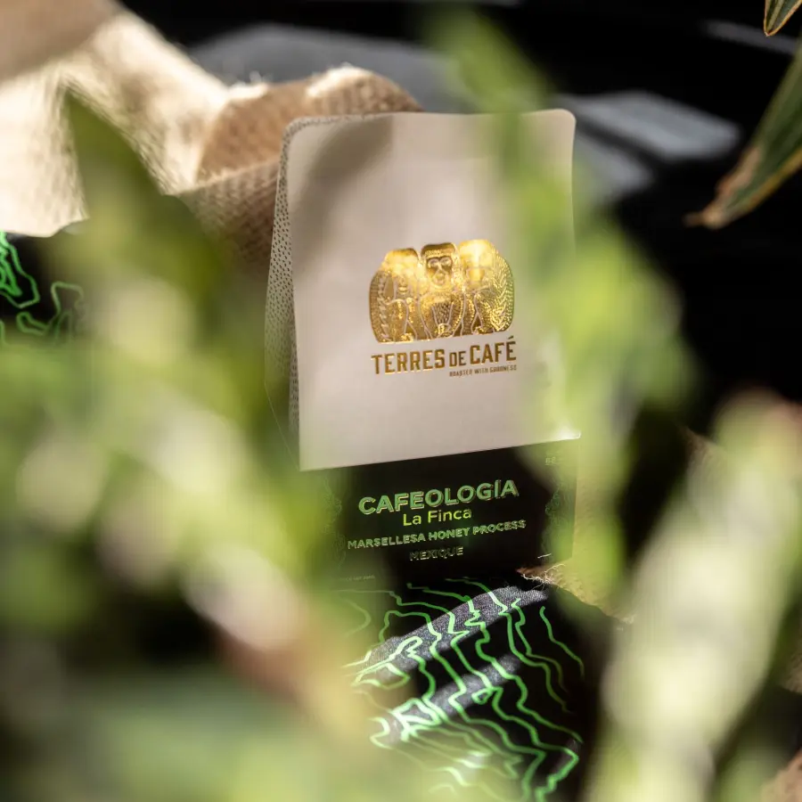 Café de spécialité |Café Cafeología, La Finca Marsellesa Honey Process | Vente en ligne