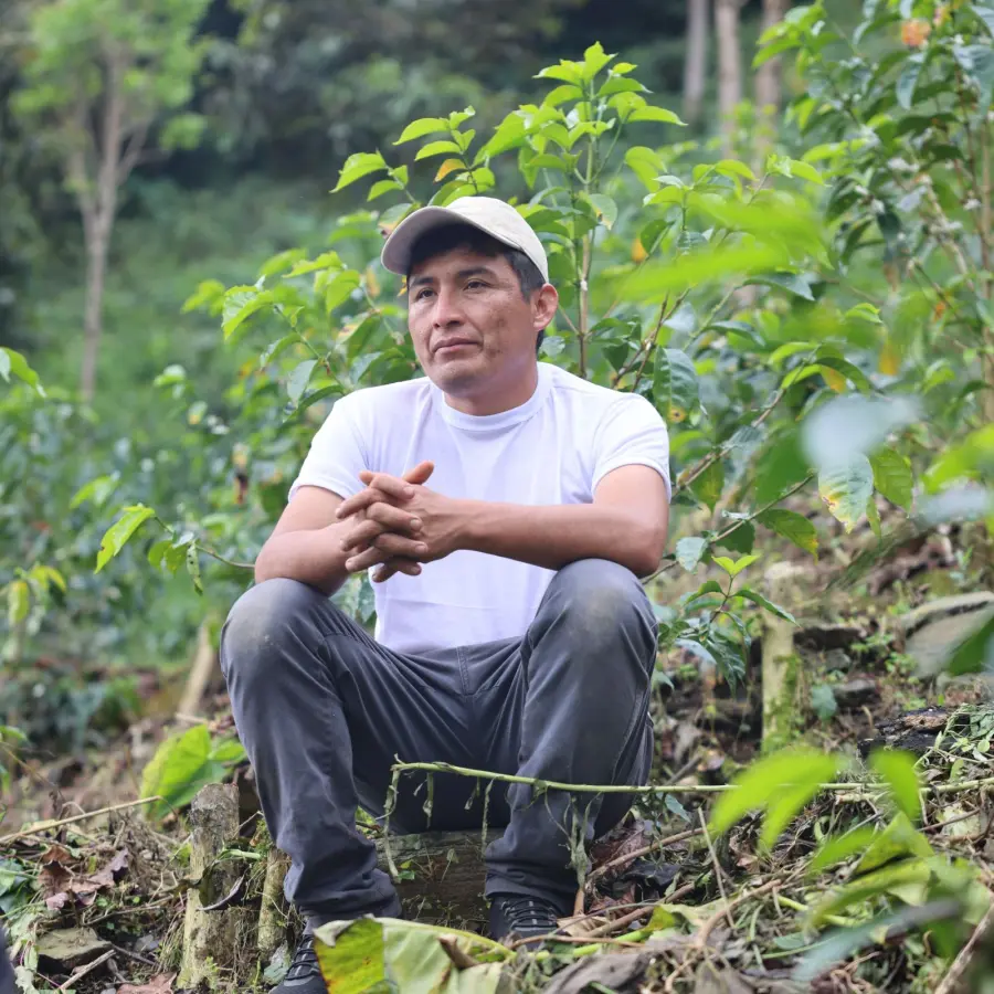 Légendes - José Prudencio Vargas - El Mirante - Pérou| Terres de Café | Vente en ligne