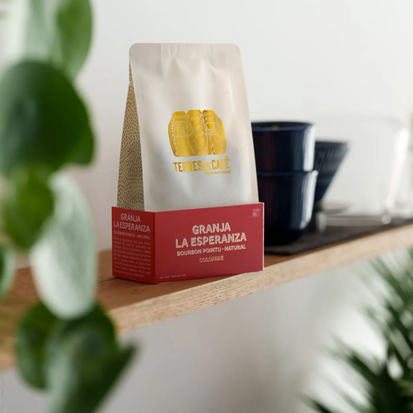Specialty Coffee | Granja La Esperanza Coffee - Bourbon Pointu | Online Store