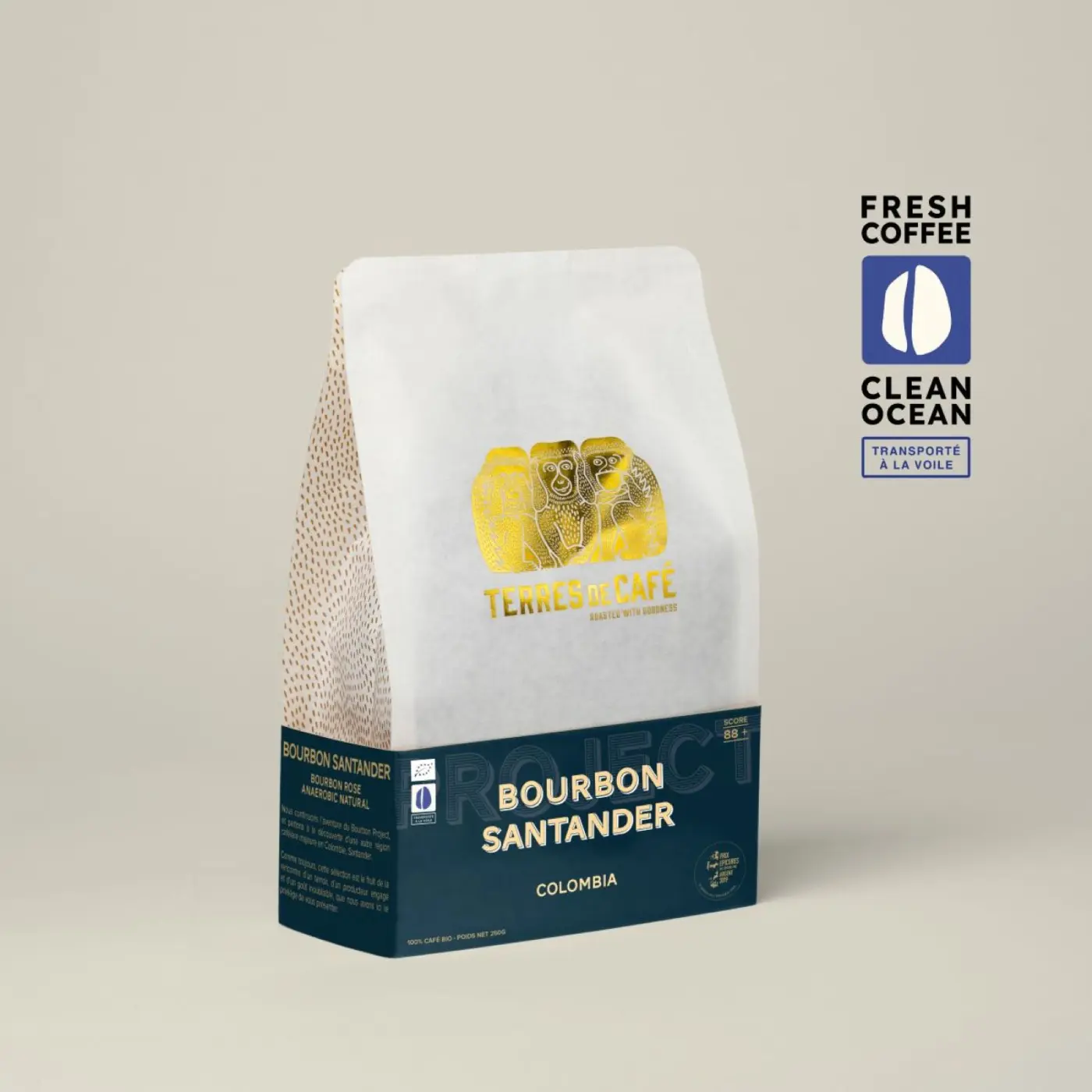 Specialty coffee I Café Bourbon Santander Bio | Online sale
