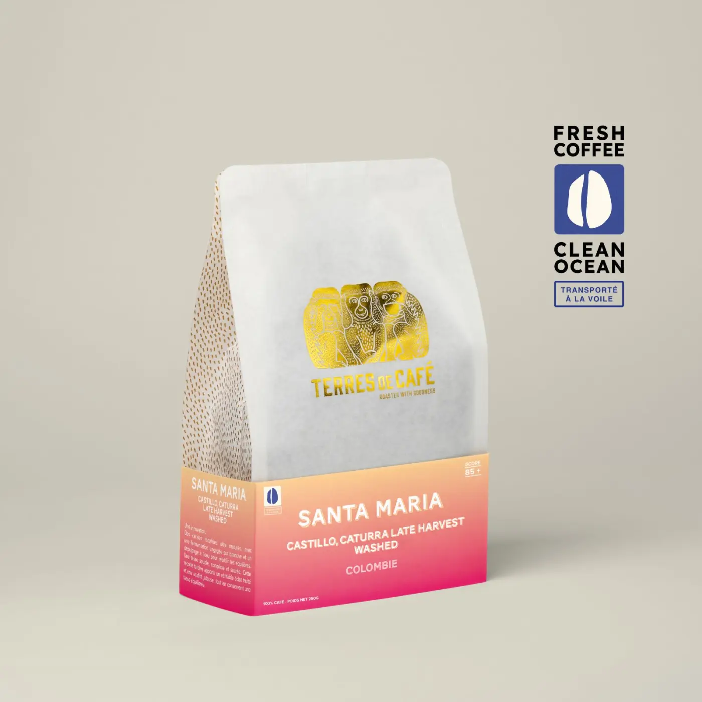 Café de spécialité | Café Finca Santa Maria Caturra - Lavé | Vente en Ligne