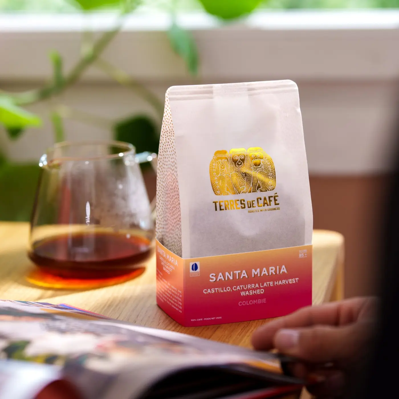 Café de spécialité | Café Finca Santa Maria Caturra - Lavé | Vente en Ligne