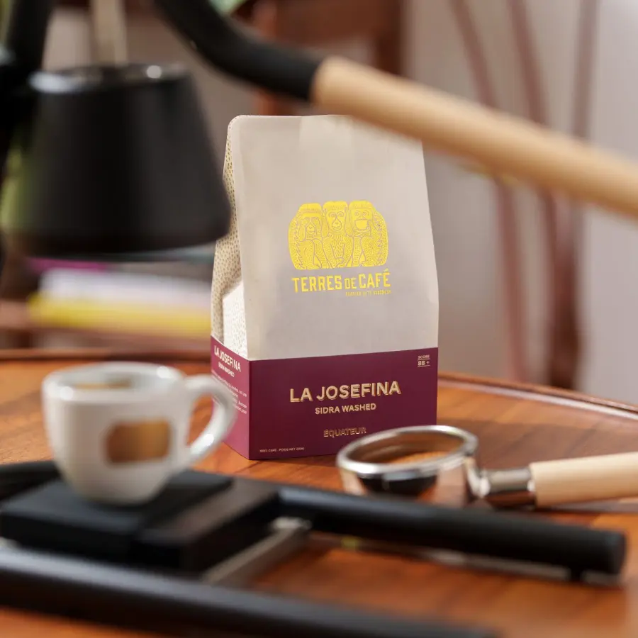 Café de spécialité |Café La Josefina Sidra Washed| Vente en Ligne