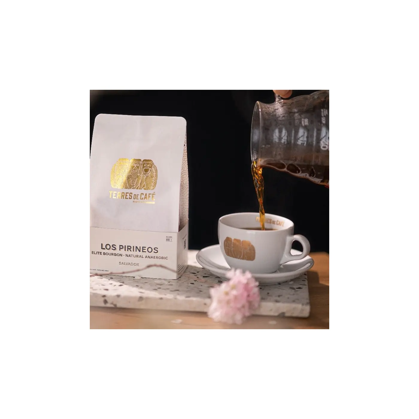 Tasse Et Sous-Tasse À Expresso En Porcelaine | Vente en Ligne