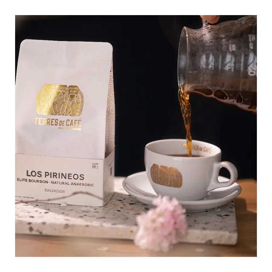 Tasse Et Sous-Tasse À Expresso En Porcelaine | Vente en Ligne