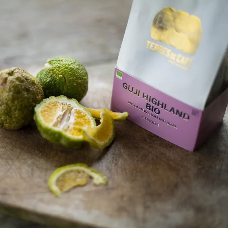 Specialty coffee by Terres de Café - Coffee Guji Highland