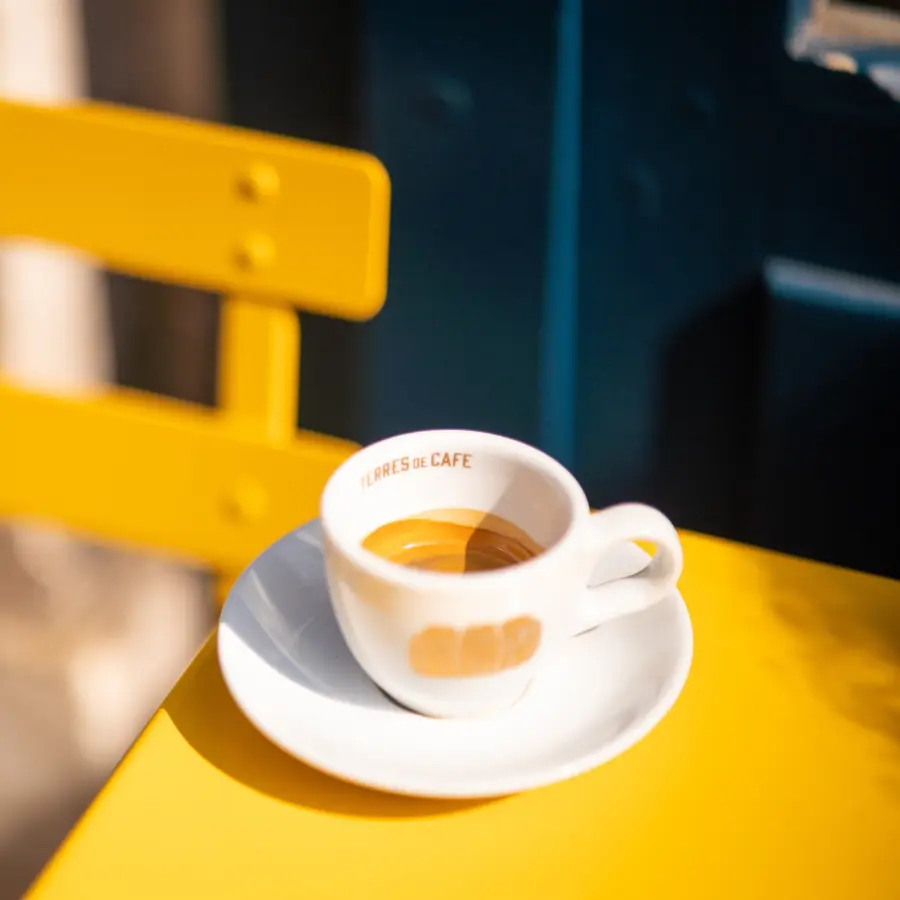 café de spécialité Terres de café - Capsules Home-Compostable Organic Expresso Bio x 100
