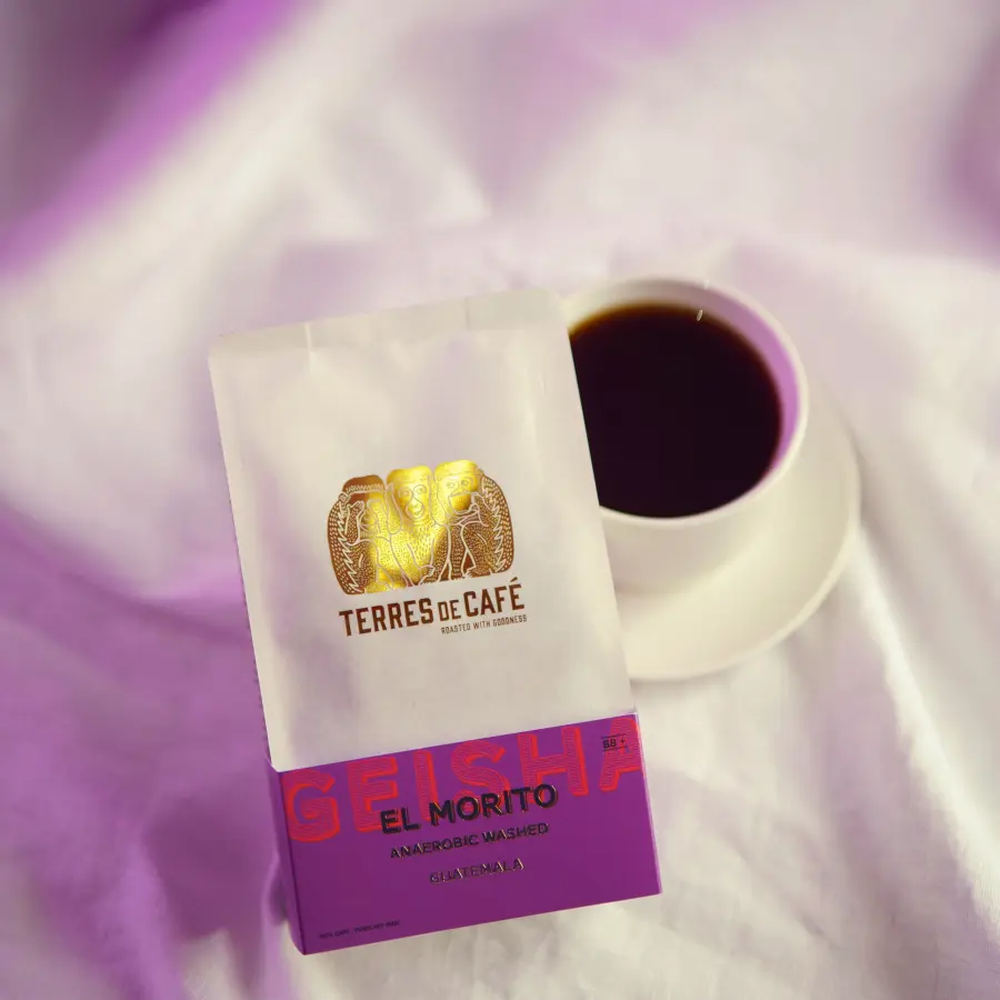 café de spécialité Terres de café - Café El Morito - Geisha Anaérobique Lavé