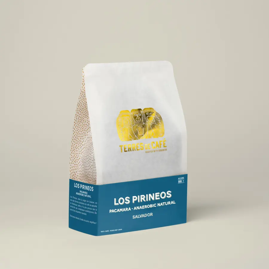 Specialty coffee by Terres de Café - Coffee Los Pirineos - Pacamara