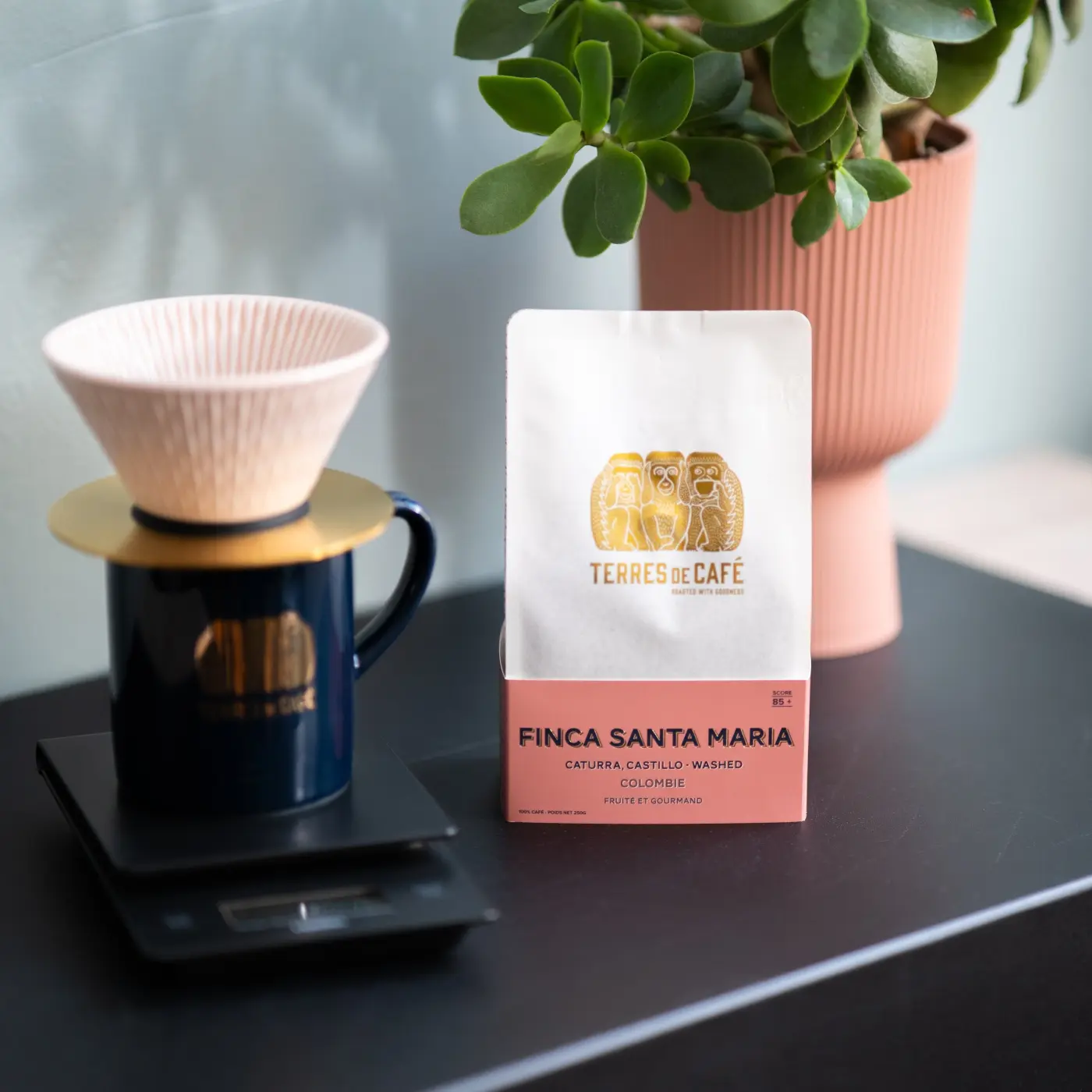 Coffee Finca Santa Maria Caturra Washed | Speciality Coffee | Buy Online