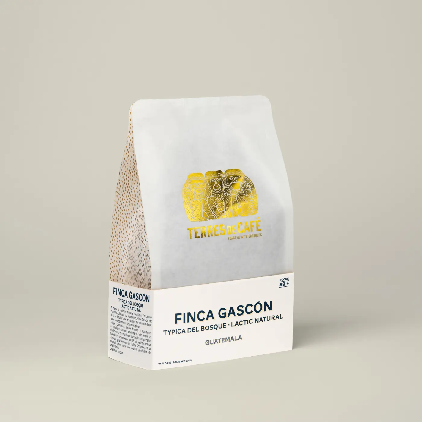 Specialty coffee by Terres de Café - Coffee Finca Gascón Lactic Natural