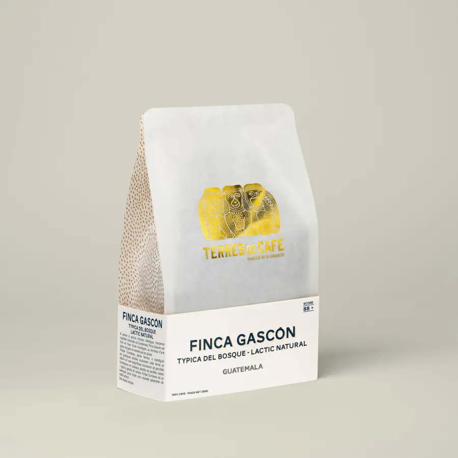 Specialty coffee by Terres de Café - Coffee Finca Gascón Lactic Natural