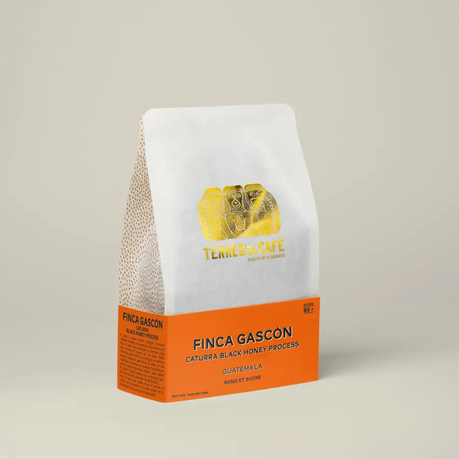Specialty coffee by Terres de Café - Coffee Finca Gascón Caturra Black Honey Process