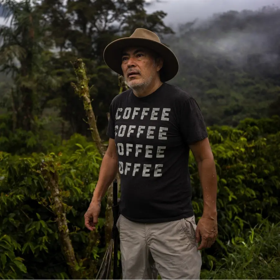 café de spécialité Terres de café - Café La Josefina - Typica Mejorado Lavé