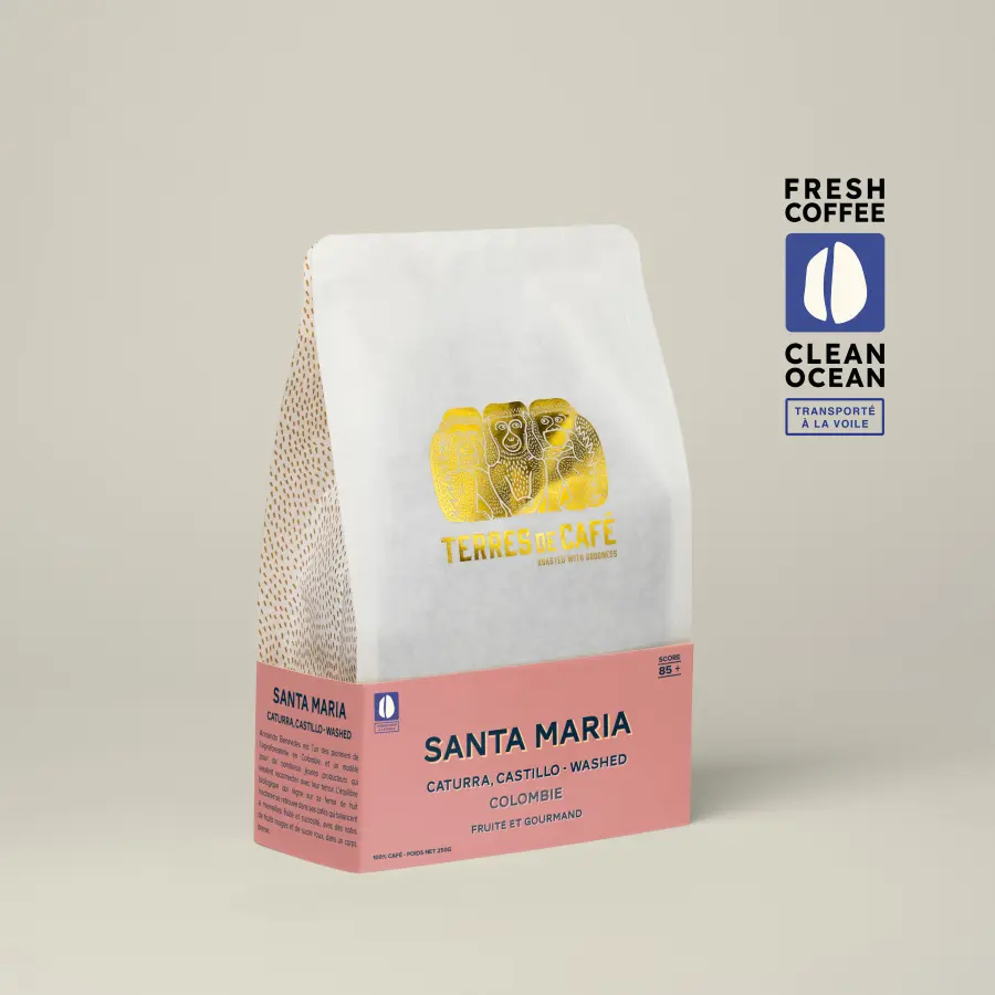 Coffee Finca Santa Maria Caturra Washed | Speciality Coffee | Buy Online