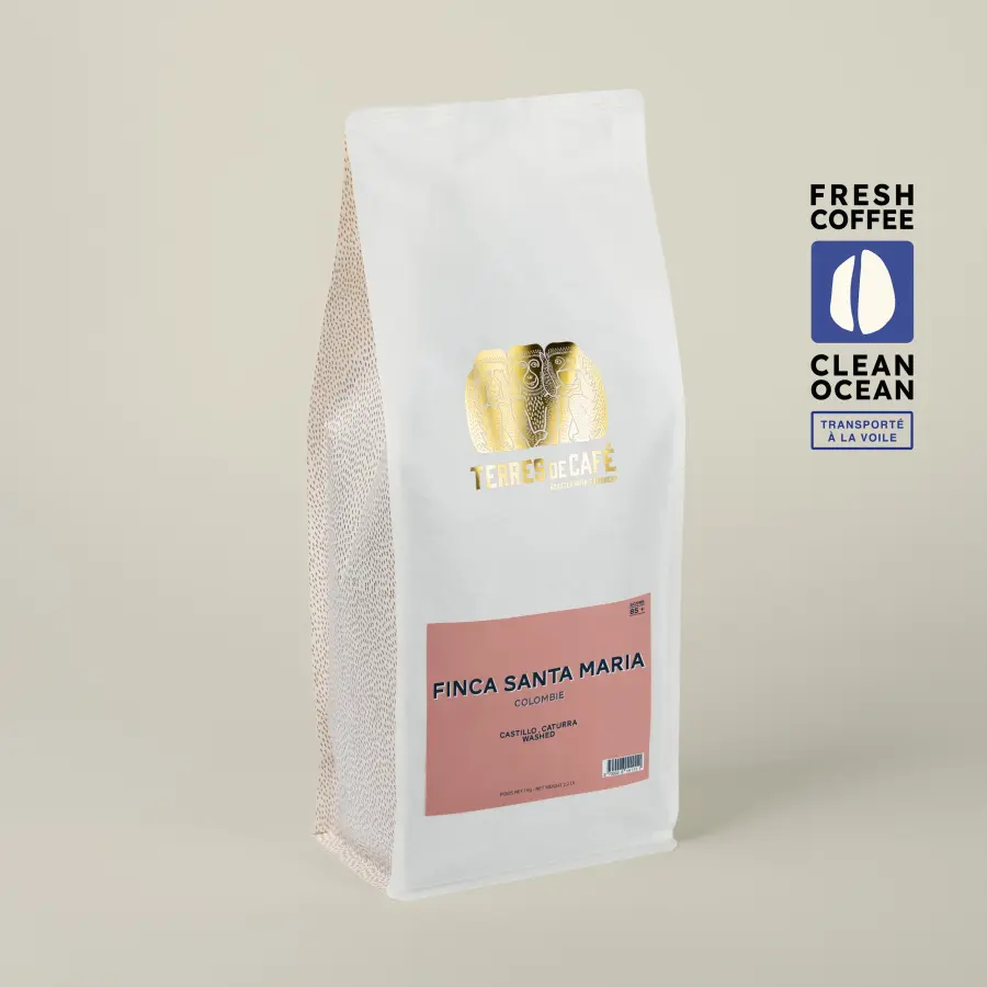 Café Finca Santa Maria Caturra Lavé - KG | Café de spécialité | Vente en Ligne