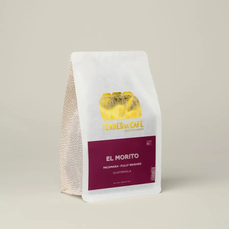 Café de spécialité | Café El Morito Pacamara Fully Washed | Vente en ligne