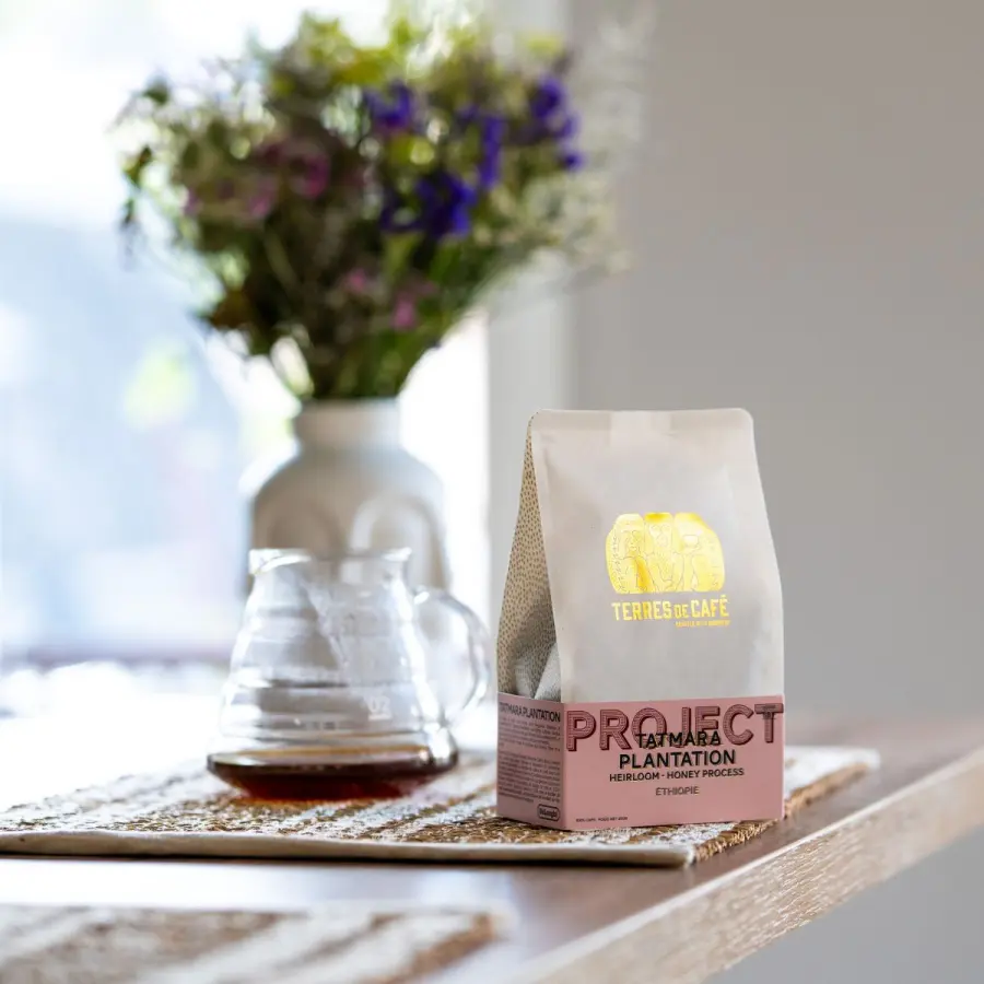 Café de Spécialité | CaféTatmara Heirloom Honey Process | Vente en Ligne