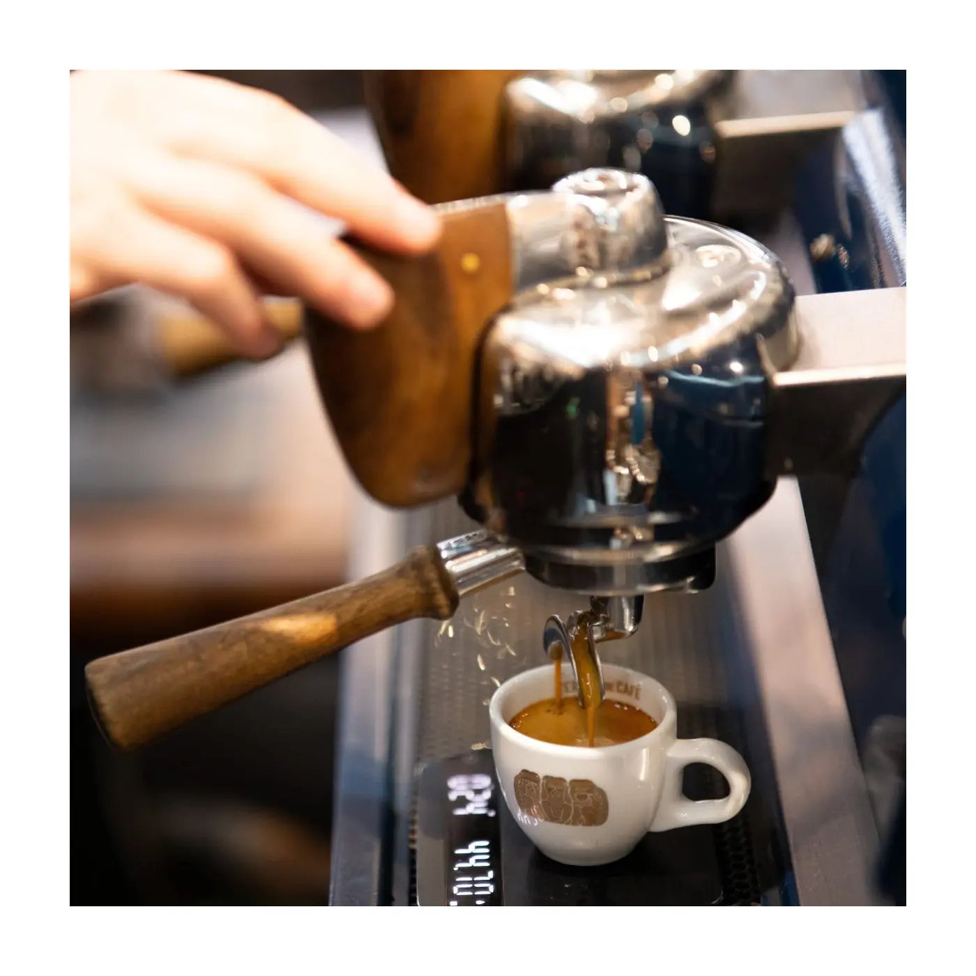 Atelier Formation Café - Expresso fondation | Vente en Ligne