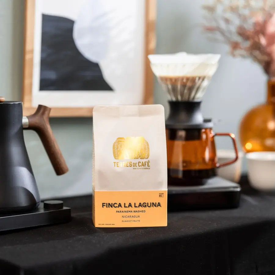 Mombacho 250 g | Beans & Ground Specialty, Gourmet Coffee - Buy Online