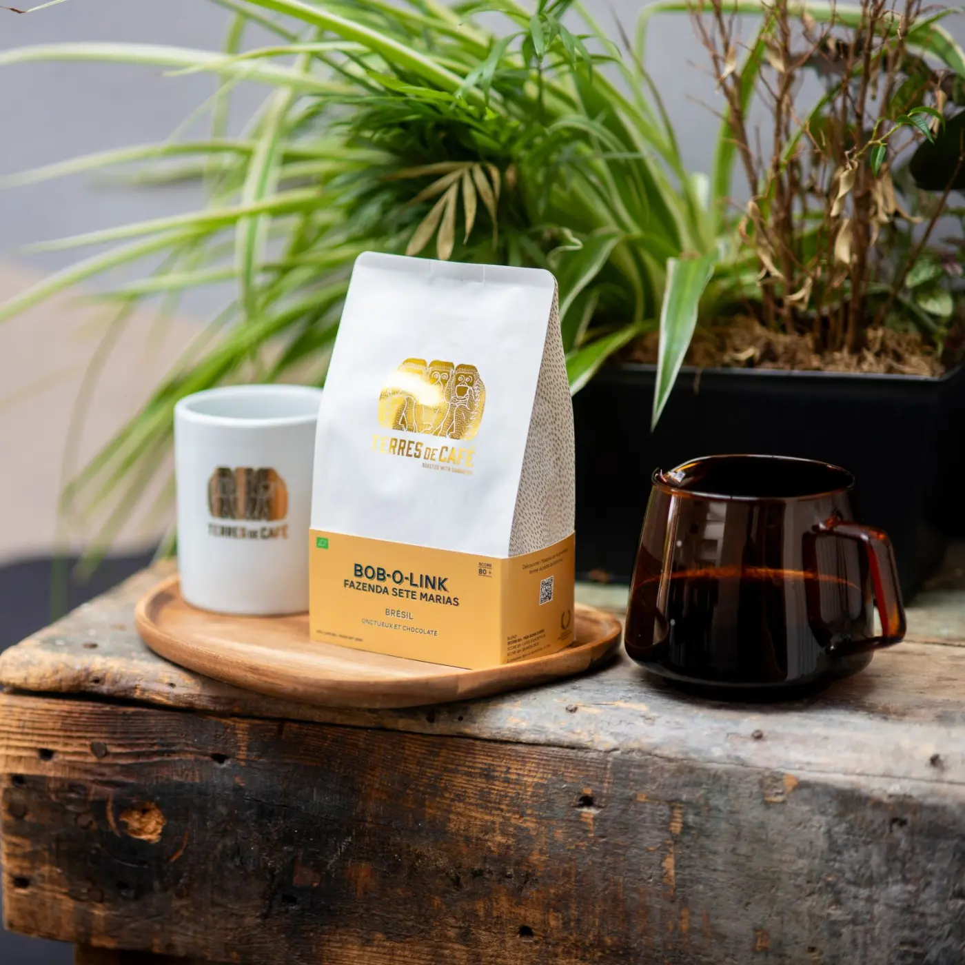 Café Bob-O-Link Bio | Café de spécialité | Vente en Ligne