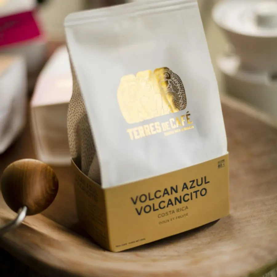 Café de Spécialité Volcan Azul Volcancito | Vente en Ligne