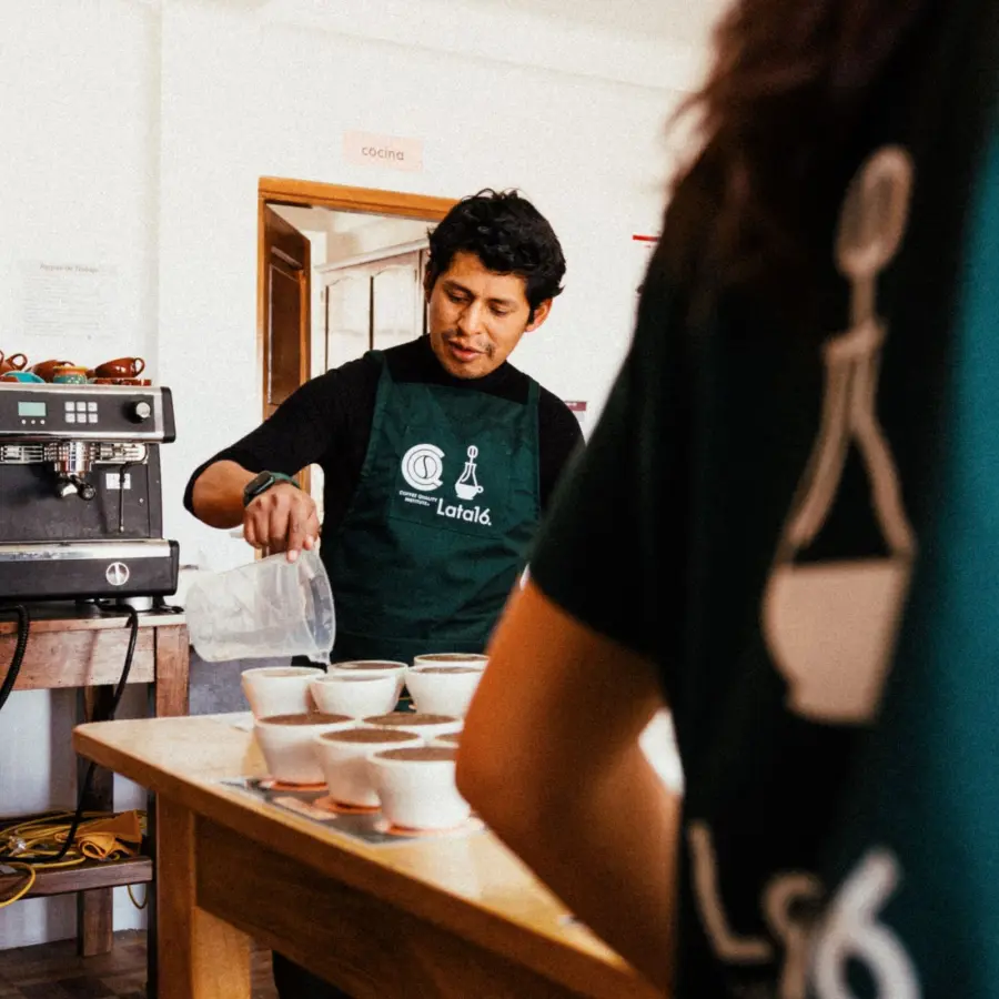 Café de spécialité I Café Felix Project Caranavi KG | Vente en ligne