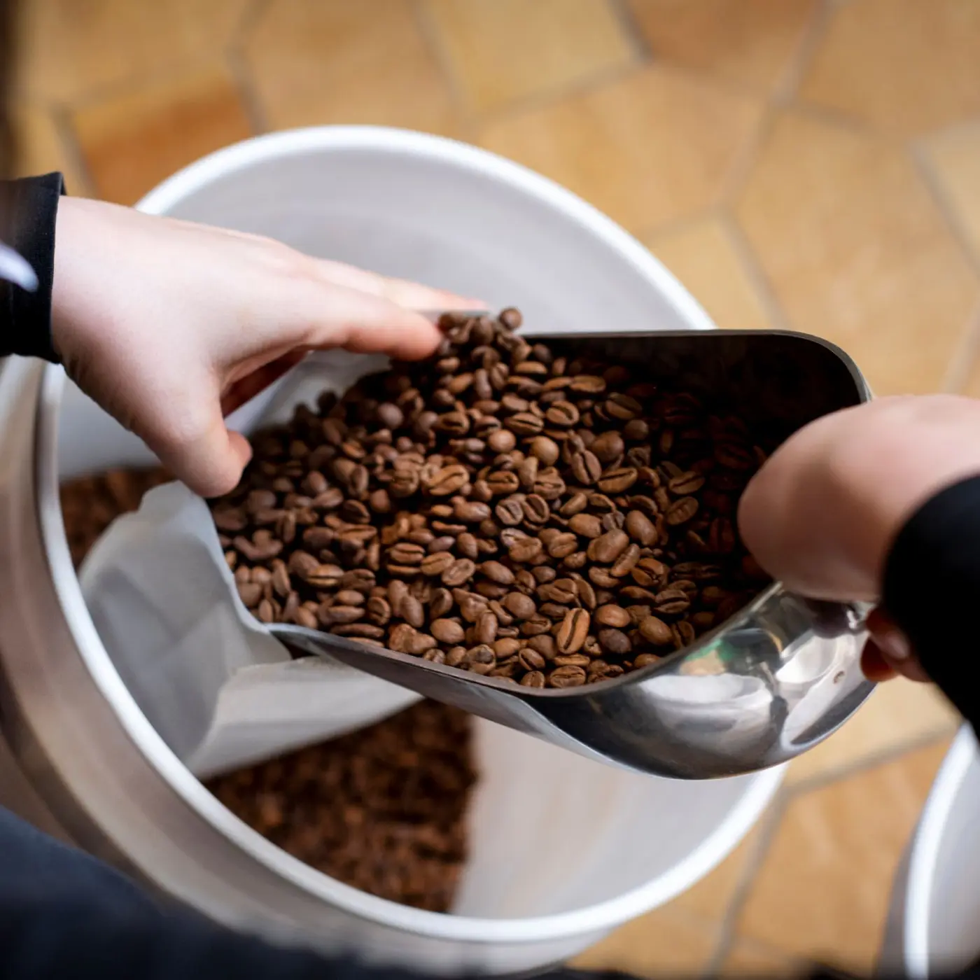 Café de spécialité | Café Organic Expresso Bio KG | Vente en Ligne