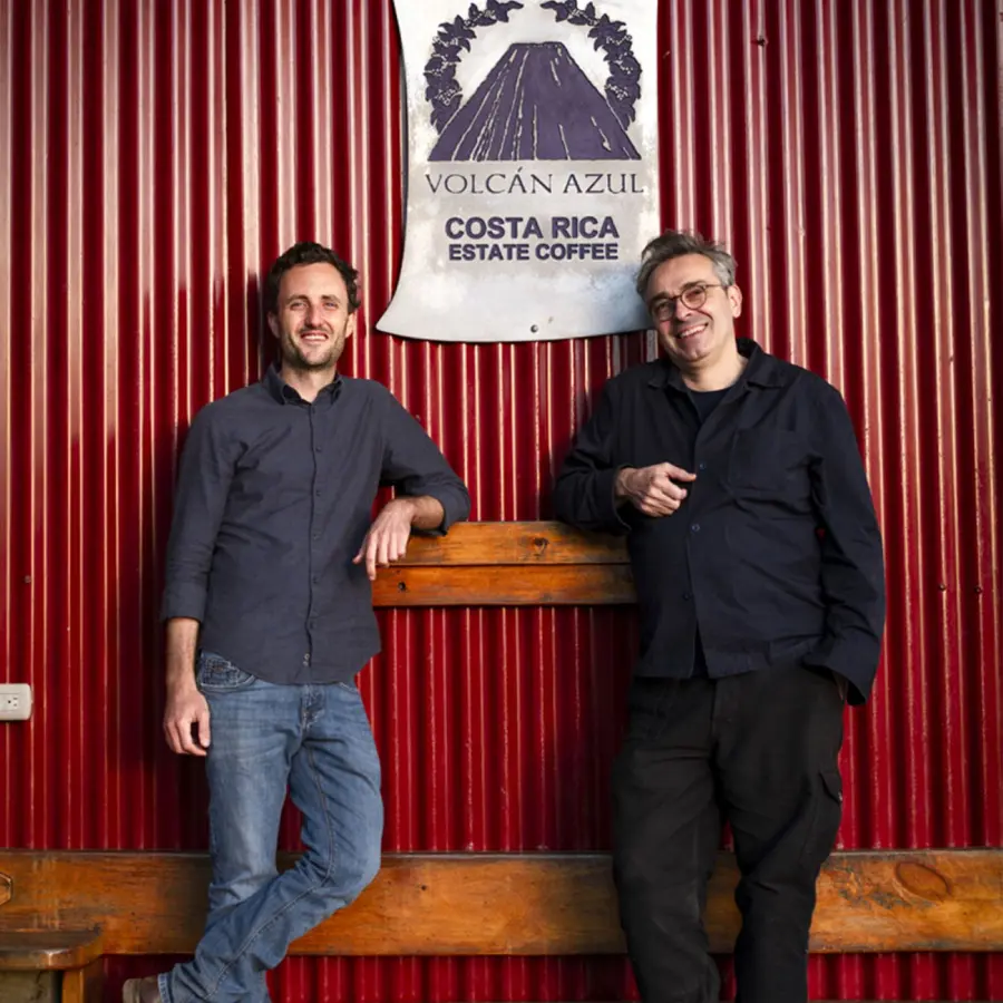 Café de Spécialité Volcan Azul Caturra KG | Vente en Ligne