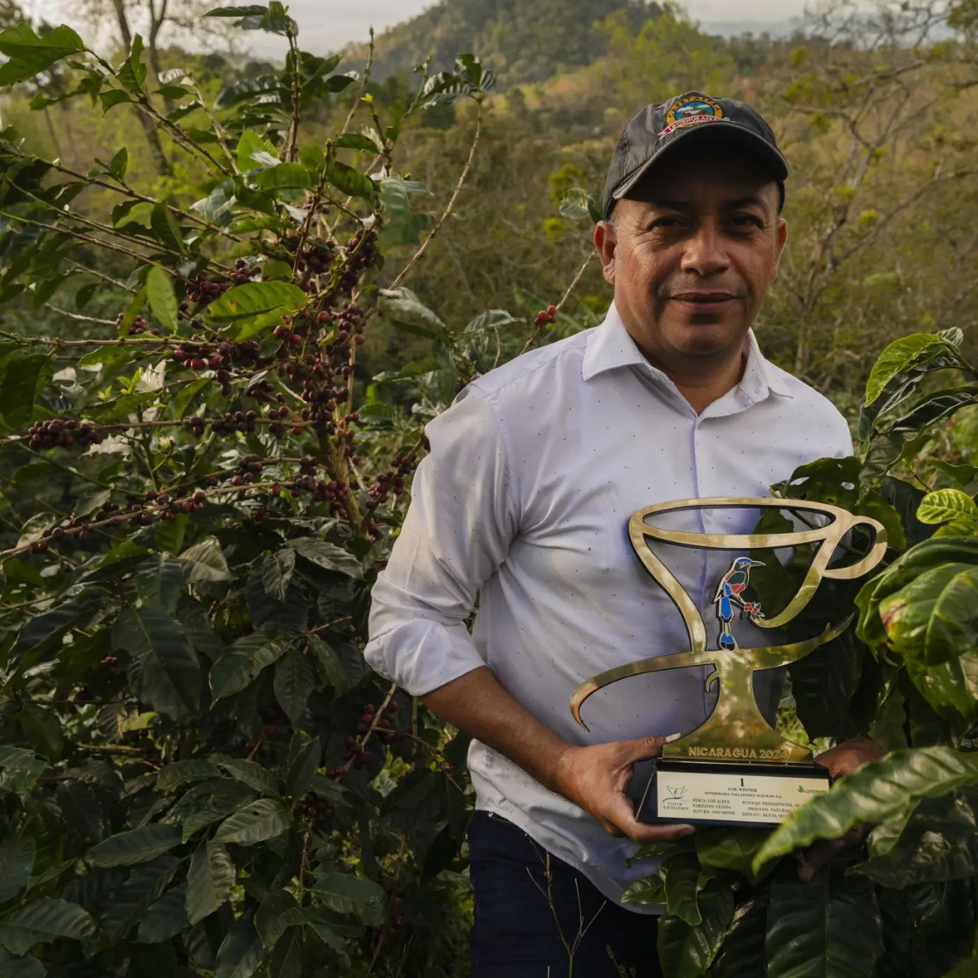 Mombacho 250 g | Beans & Ground Specialty, Gourmet Coffee - Buy Online