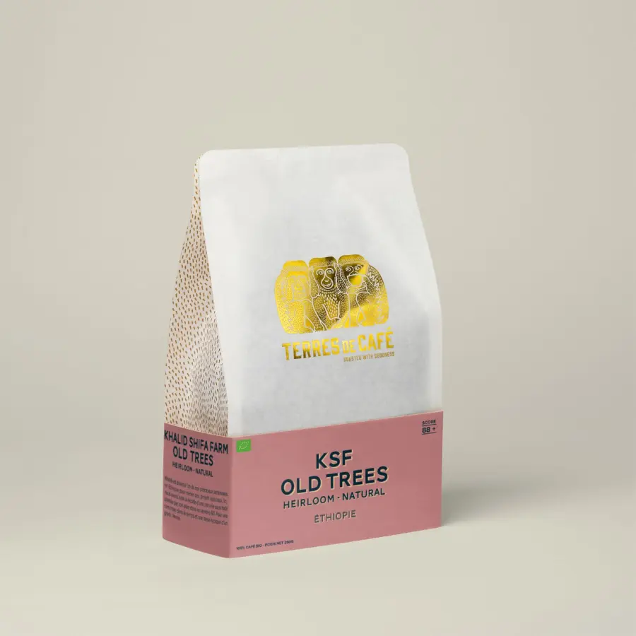 Coffee KSF Old Trees bio | Speciality Coffee | Buy Online