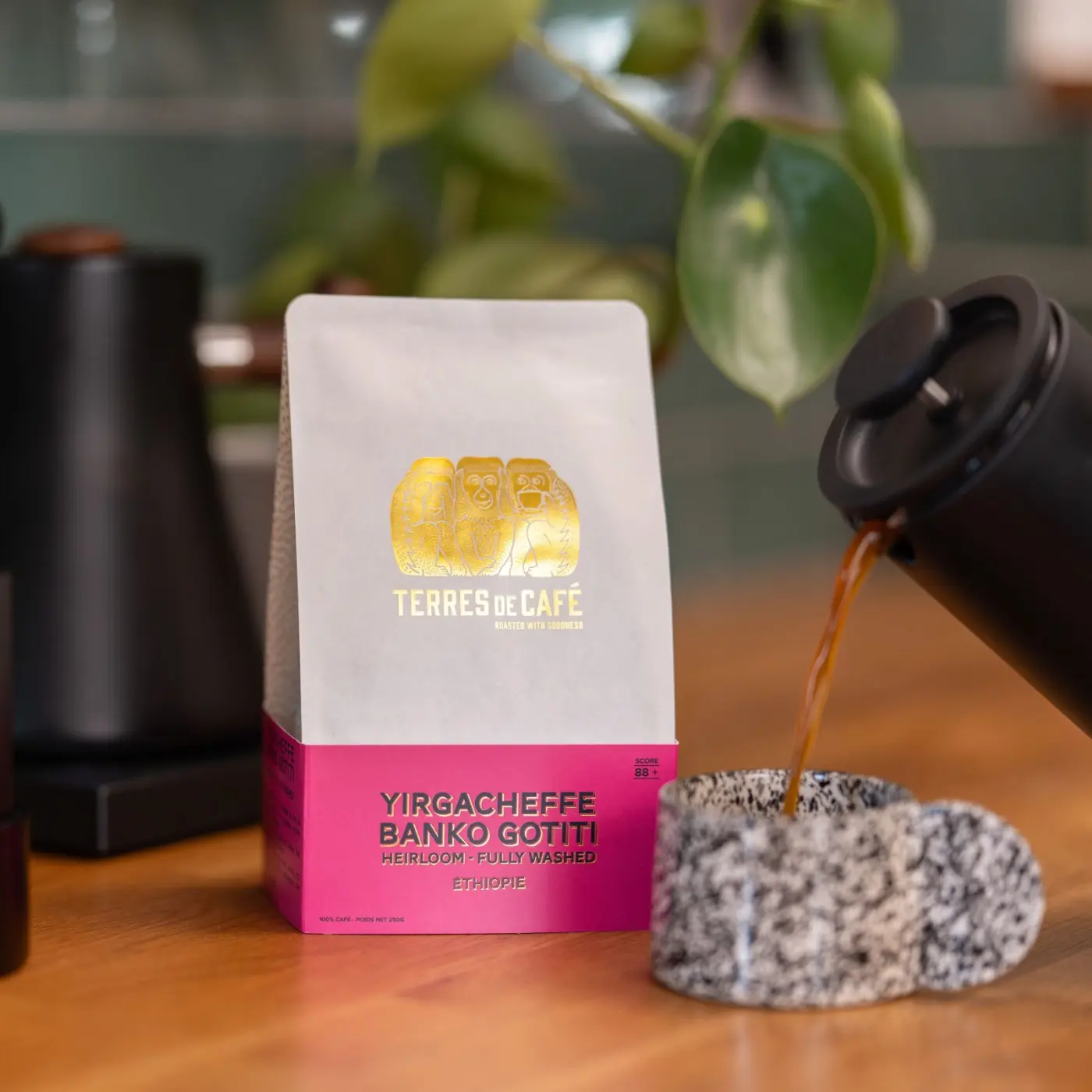 Specialty Coffee | Coffee Yirgacheffe Banko Gotiti | Online Sales