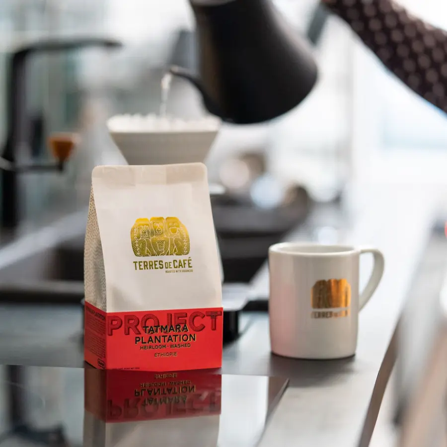 Café de spécialité | Café Tatmara Plantation - Washed| Vente en Ligne
