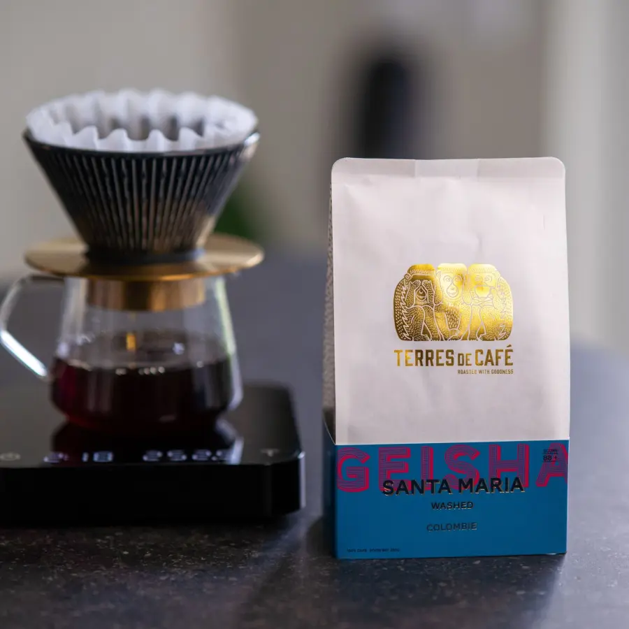 Coffee Finca Santa Maria Geisha Washed | Speciality Coffee | Buy Online
