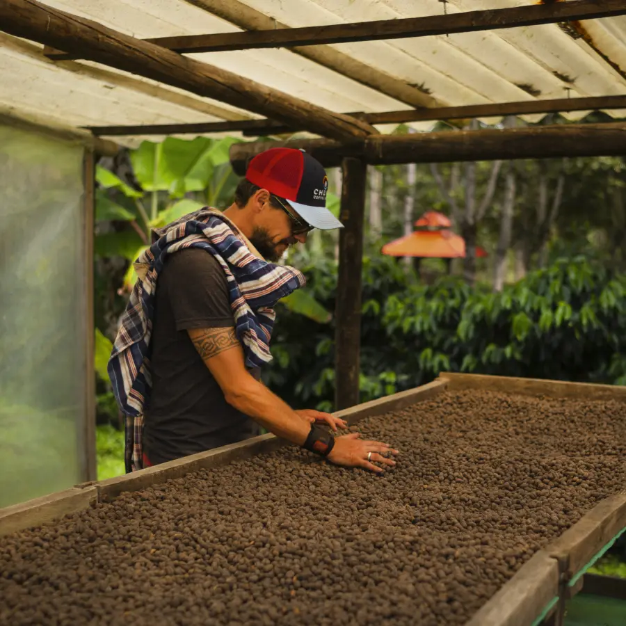 Café de spécialité | Café Finca Soledad I Vente en ligne