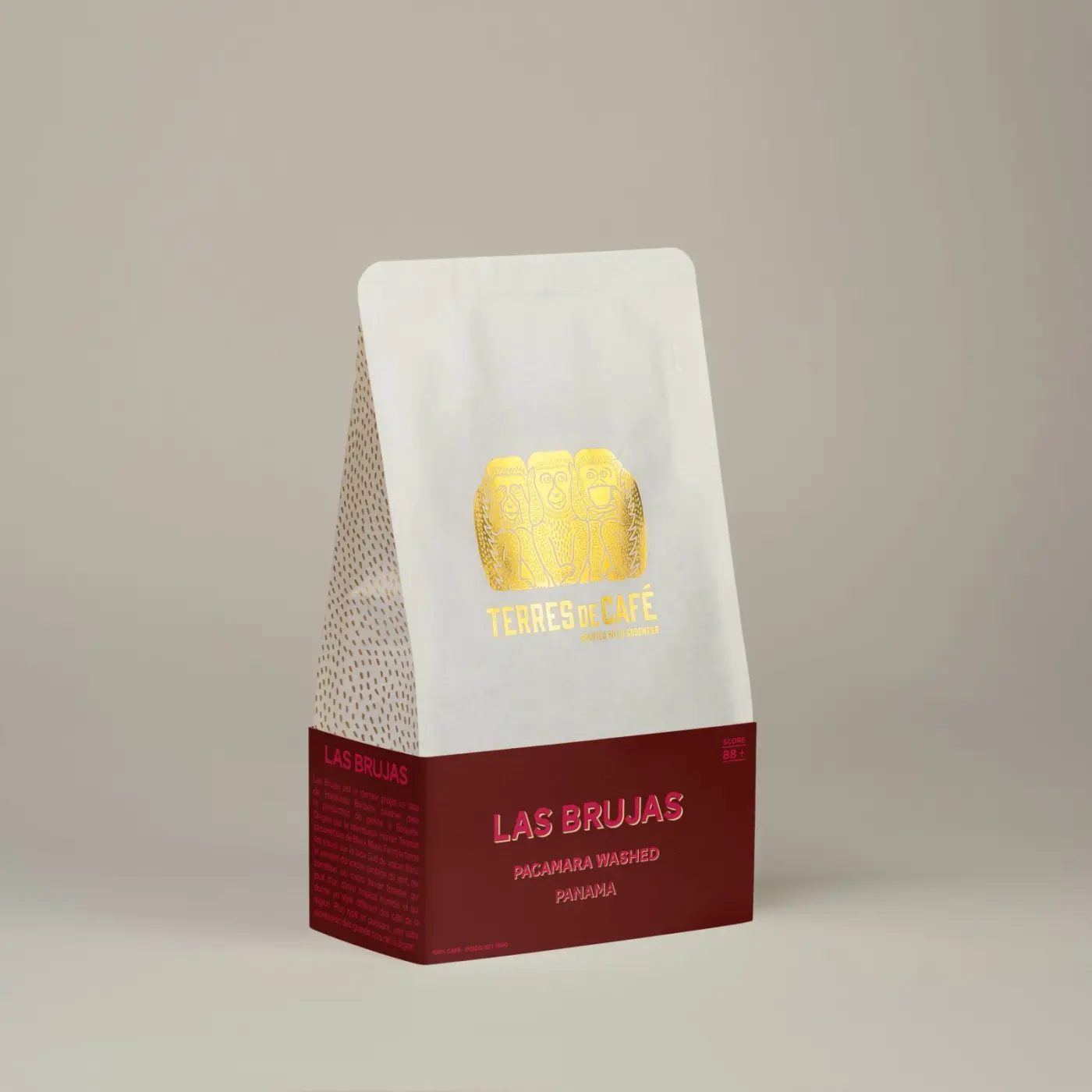 Specialty Coffee | Las Brujas Pacamara Washed Coffee | Online Sales