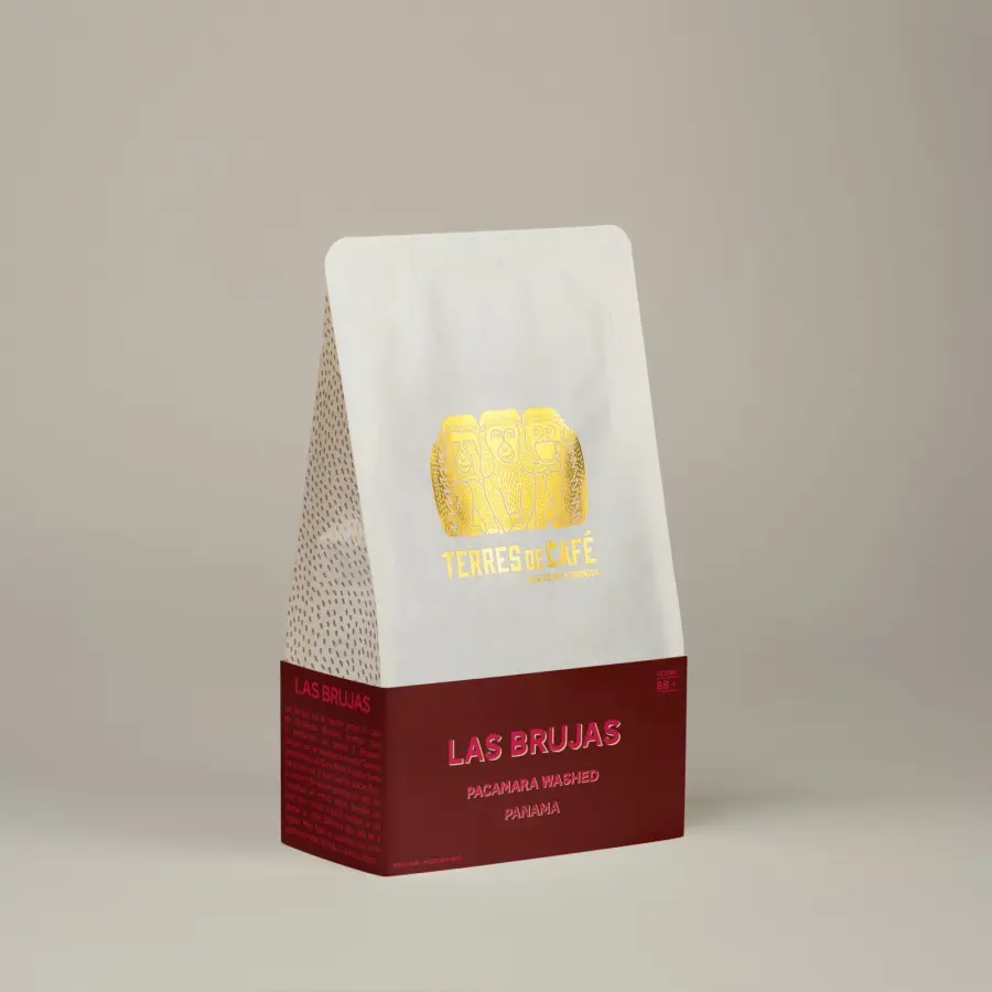 Café de spécialité | Café Las Brujas Pacamara Washed | Vente en Ligne