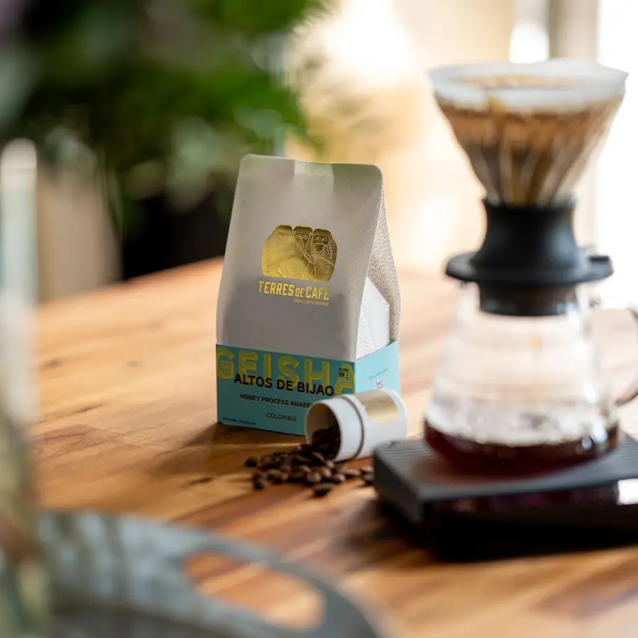 Café de spécialité I Café Altos de Bijao Geisha | Vente en ligne