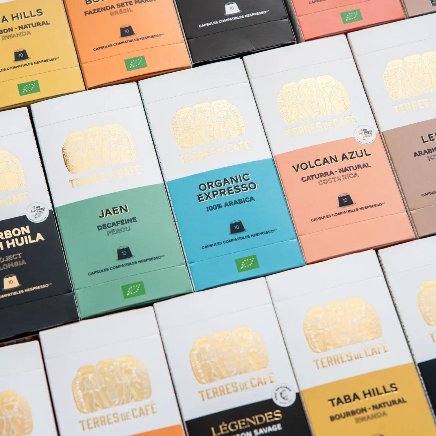 Speciality Coffee | Capsules Organic Bio x 10 | Terres de Café