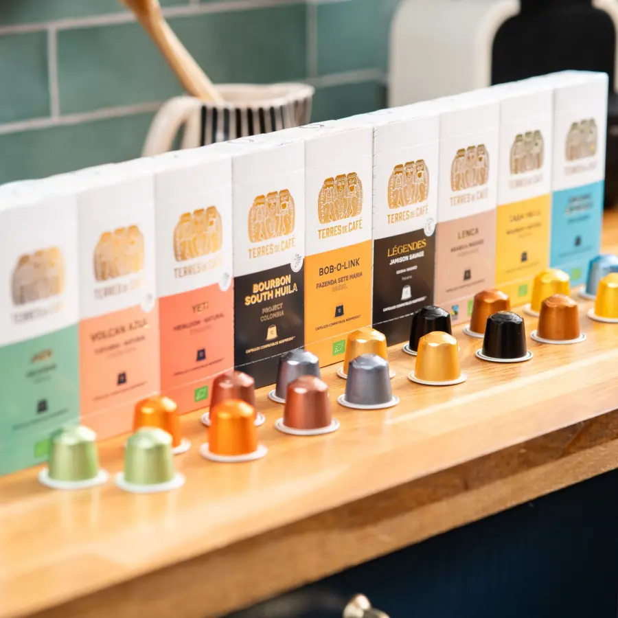 Speciality Coffee | Yeti x 10 Capsules | Buy Online