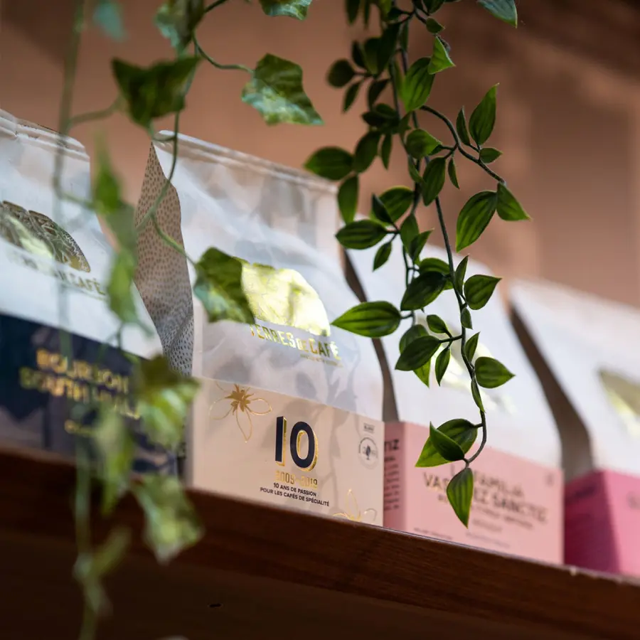Café de Spécialité 10 Blend | Vente en Ligne