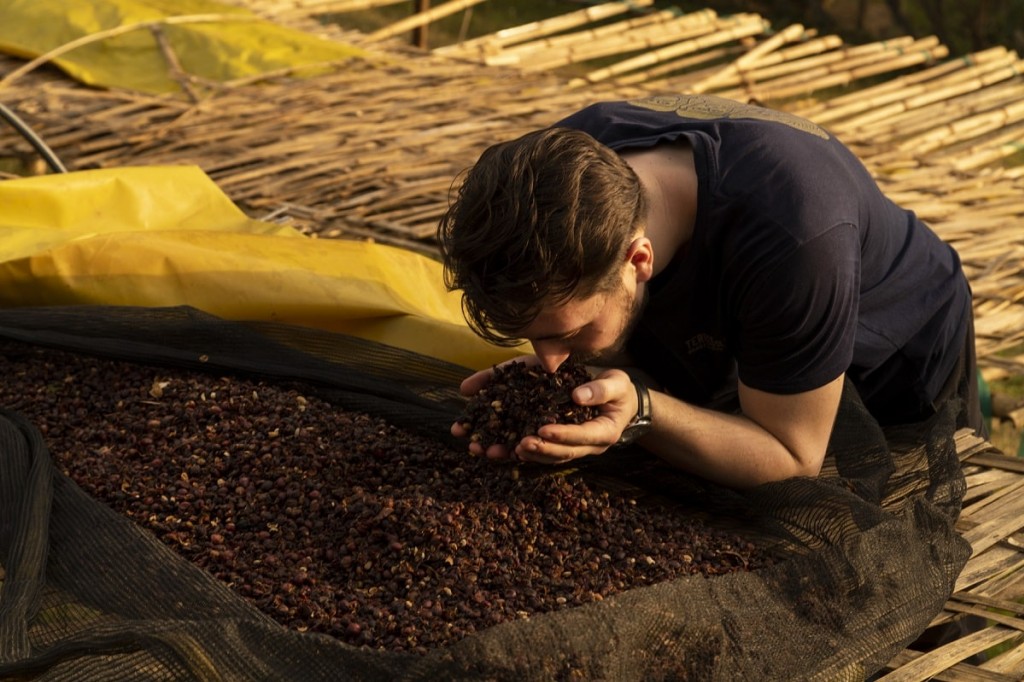 Quelles sont les Méthodes de Fermentation du Café ?