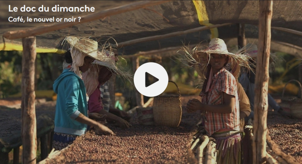 Café, le nouvel or noir ? sur France 5 dans le Doc du Dimanche