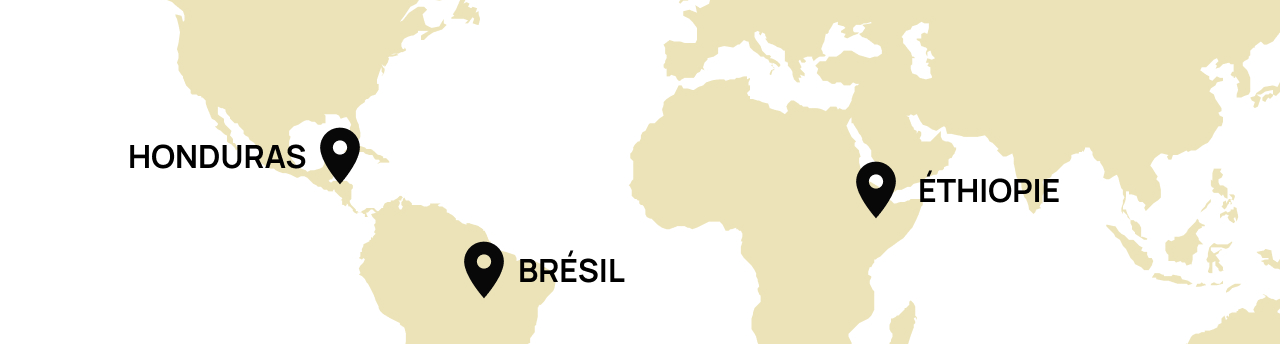 Origine Ethiopie, Honduras, Brésil